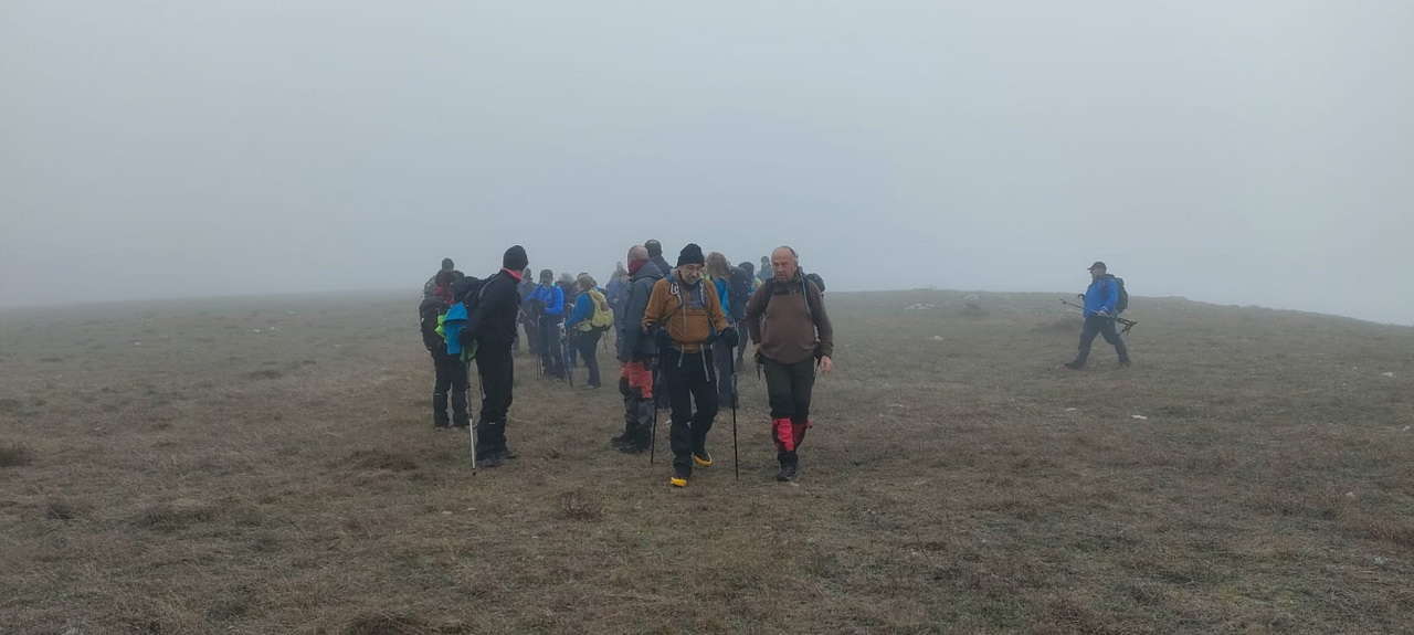 WhatsApp Image 2026-02-10 at 14.47.44 (5)